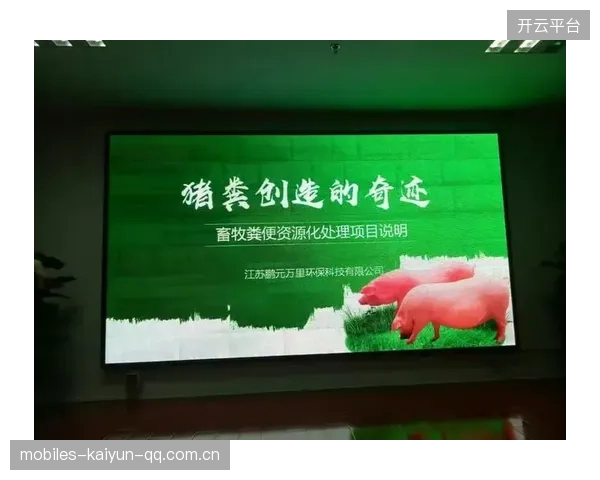 夏季签约回报率排行：哪笔合同最值？